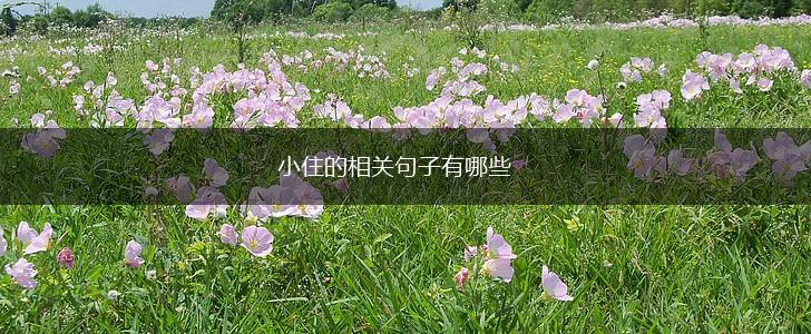 小住的相关句子有哪些,第1张