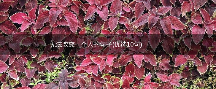 无法改变一个人的句子(优选10句),第1张