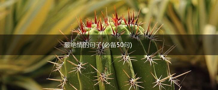 最绝情的句子(必备50句),第1张
