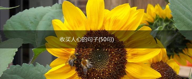 收买人心的句子(50句),第1张