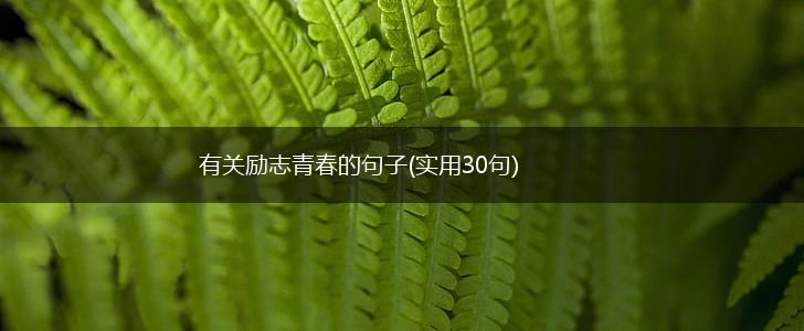 有关励志青春的句子(实用30句),第1张