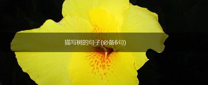 描写树的句子(必备6句),第1张