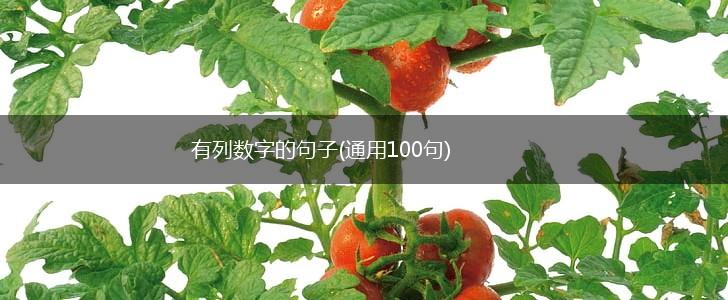 有列数字的句子(通用100句),第1张