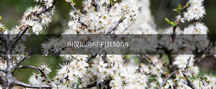 用议论造句子(共50句),第1张