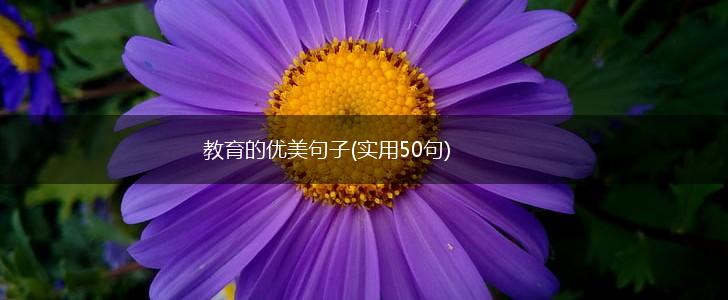 教育的优美句子(实用50句),第1张