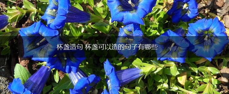 杯盏造句 杯盏可以造的句子有哪些,第1张