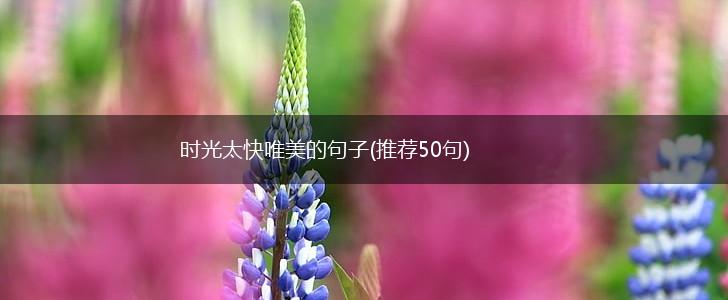 时光太快唯美的句子(推荐50句),第1张