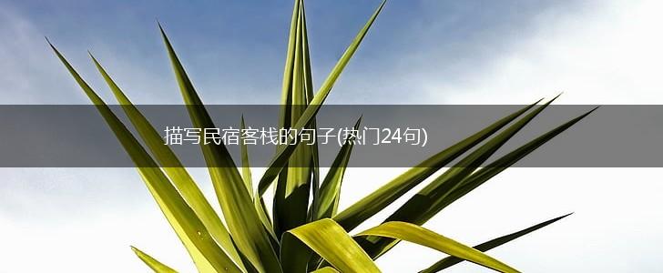 描写民宿客栈的句子(热门24句),第1张
