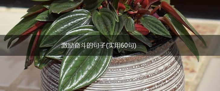 激励奋斗的句子(实用60句),第1张