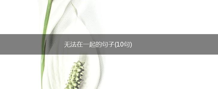 无法在一起的句子(10句),第1张