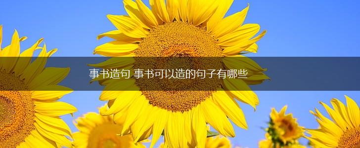事书造句 事书可以造的句子有哪些,第1张