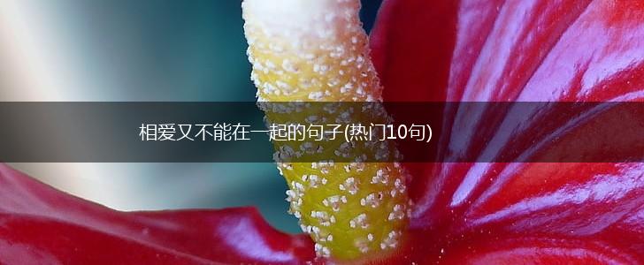 相爱又不能在一起的句子(热门10句),第1张