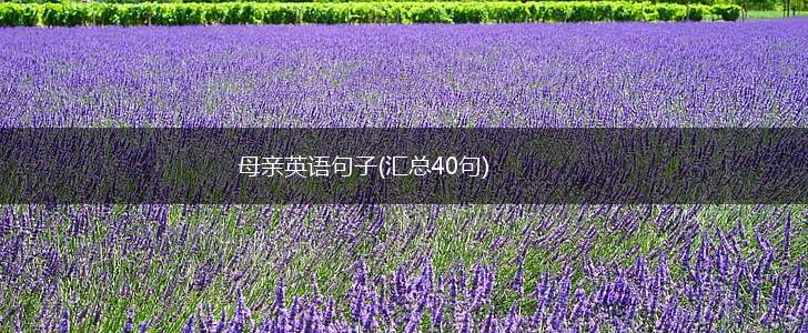 母亲英语句子(汇总40句),第1张