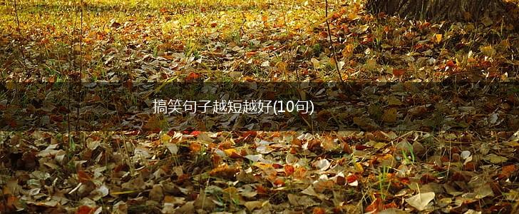 搞笑句子越短越好(10句),第1张