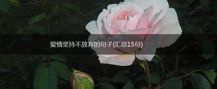 爱情坚持不放弃的句子(汇总15句),第1张