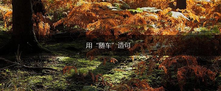 用“随车”造句,第1张