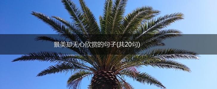 景美却无心欣赏的句子(共20句),第1张
