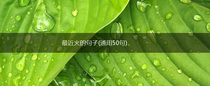 最近火的句子(通用50句),第1张