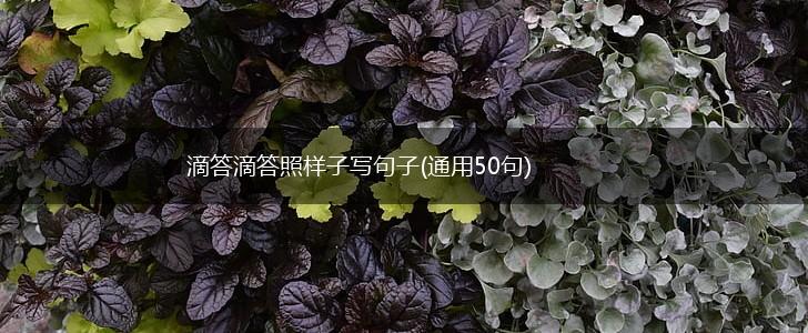 滴答滴答照样子写句子(通用50句),第1张