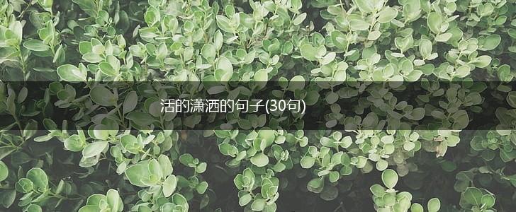 活的潇洒的句子(30句),第1张