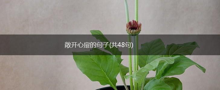 敞开心扉的句子(共48句),第1张