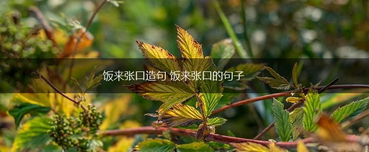 饭来张口造句 饭来张口的句子,第1张