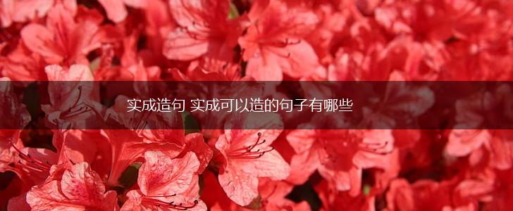 实成造句 实成可以造的句子有哪些,第1张