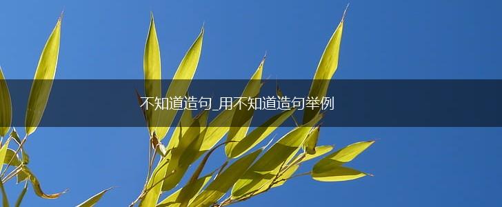 不知道造句_用不知道造句举例,第1张