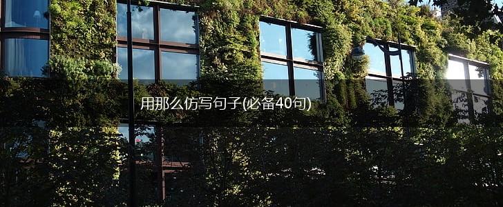 用那么仿写句子(必备40句),第1张