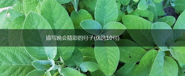 描写晚会精彩的句子(优选10句),第1张