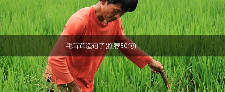 毛茸茸造句子(推荐50句),第1张