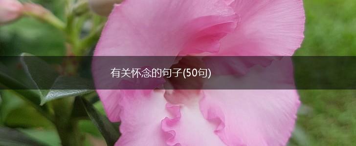 有关怀念的句子(50句),第1张