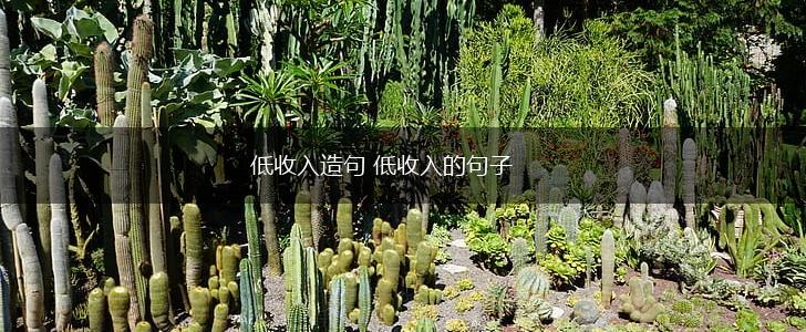 低收入造句 低收入的句子,第1张