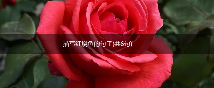 描写红烧鱼的句子(共6句),第1张