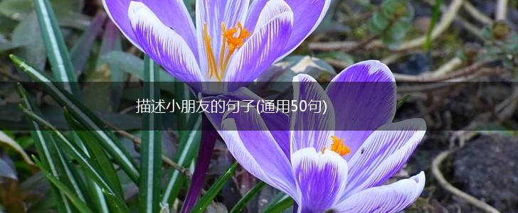 描述小朋友的句子(通用50句),第1张