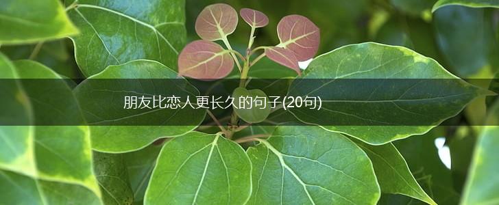 朋友比恋人更长久的句子(20句),第1张