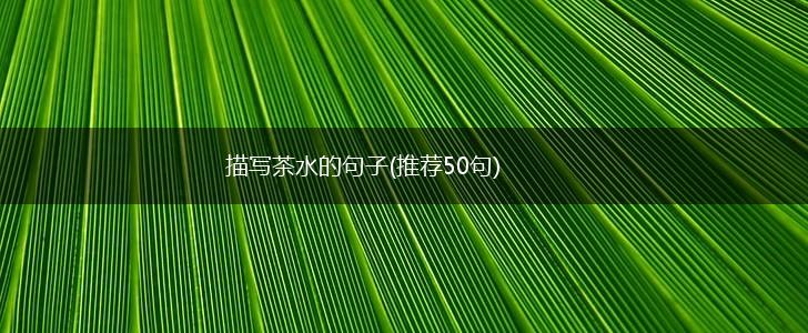 描写茶水的句子(推荐50句),第1张