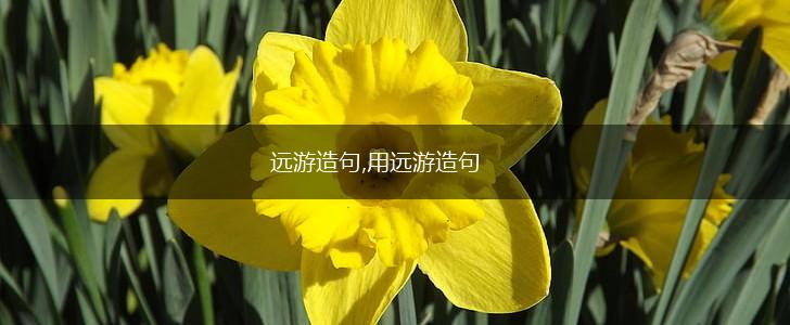 远游造句,用远游造句,第1张