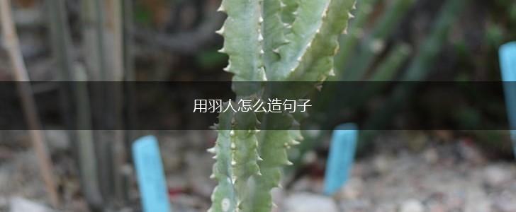用羽人怎么造句子,第1张
