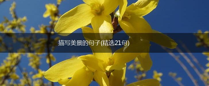 描写美景的句子(精选21句),第1张