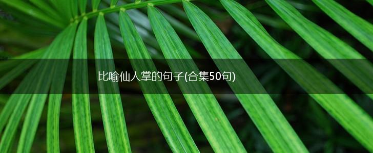 比喻仙人掌的句子(合集50句),第1张