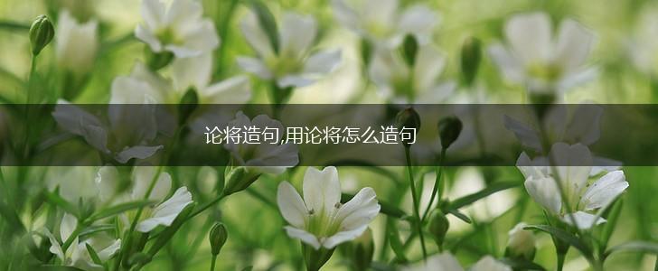 论将造句,用论将怎么造句,第1张