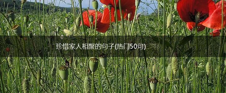 珍惜家人相聚的句子(热门50句),第1张