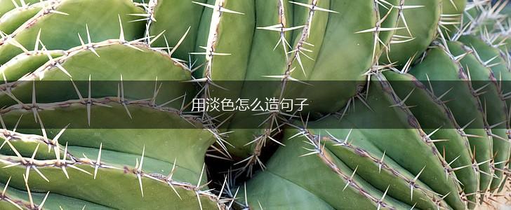 用淡色怎么造句子,第1张