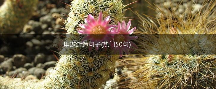 用遨游造句子(热门50句),第1张