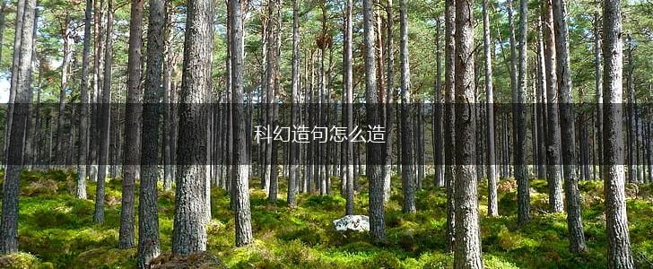 科幻造句怎么造,第1张
