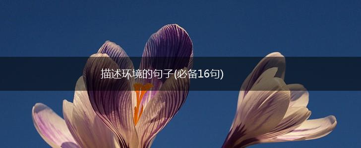 描述环境的句子(必备16句),第1张
