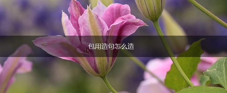 包用造句怎么造,第1张