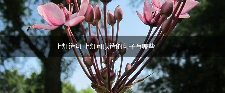 上灯造句 上灯可以造的句子有哪些,第1张