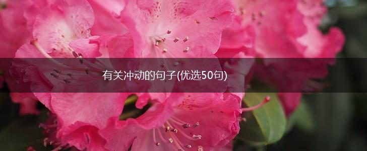 有关冲动的句子(优选50句),第1张